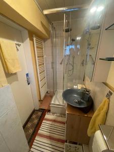 a bathroom with a sink and a shower at Ferienwohnung Maria Martin in Alzenau in Unterfranken +9 photos