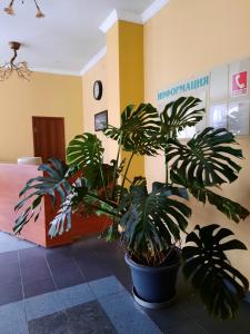 Photo de la galerie de l'établissement Hotel Aleksandria, à Kharkov