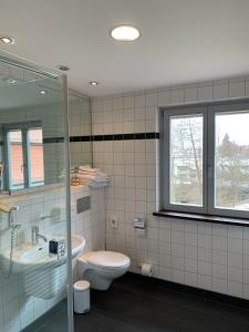 a bathroom with a toilet and a sink and a mirror at Buhlsche Mühle in Ettlingen