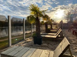 un parc avec un banc et un palmier dans l'établissement Hotel Buenos, à Geldrop