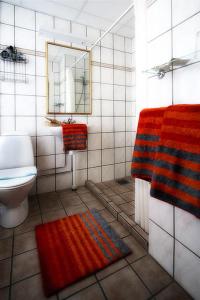 Vannituba majutusasutuses Hotel Dania