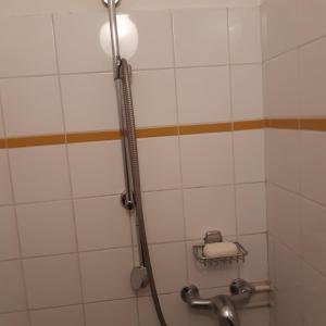 La salle de bains est pourvue d'une douche avec un pommeau de douche. dans l'établissement BELLEVUE, à Quetigny