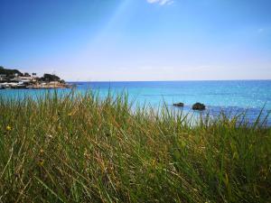 Paesaggio naturale nelle vicinanze del bed & breakfast