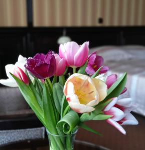 Fotografie z fotogalerie ubytování Attache Hotel v Kyjevě