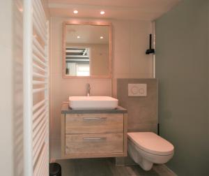 een badkamer met een wastafel, een toilet en een spiegel bij Casa Sea 2 personen en Casa Beach 4 personen in Westkapelle +29 foto's