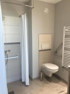 a bathroom with a toilet and a shower at Hotel Les Galets Bleus in Cayeux-sur-Mer