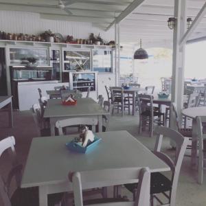 a dog sitting in a bowl on a table in a restaurant at Fisilanis Beachfront Hotel in Logaras