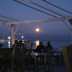 a group of people sitting at a table looking at the moon at Fisilanis Beachfront Hotel in Logaras