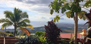 Gallery image of Appartement de 2 chambres avec vue sur la mer jardin clos et wifi a Saint paul in Saint-Paul