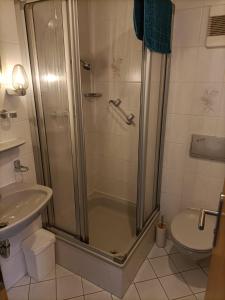 a bathroom with a shower and a toilet and a sink at Hotel-Restaurant Babylon in Dierdorf +18 photos