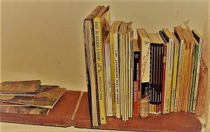 una fila de libros sentados en un estante en Ca lEsperrucat Acogedora casa de pueblo Tranquila y bien comunicada, en Argelaguer