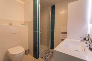 a bathroom with a shower and a toilet and a sink at Rez-de-chaussée centre ville d'Embrun 3 étoiles in Embrun