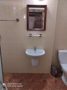 a bathroom with a sink and a toilet and a mirror at Готельний комплекс Трапезна in Subbotov