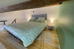 a bedroom with a bed with a green comforter at Avignon Centre - Jacuzzi Privé - Internet Fibre in Avignon