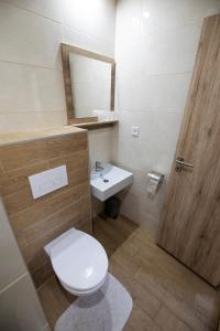 a bathroom with a toilet and a sink and a mirror at Vegas Hriňová Penzión in Hriňová