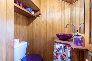 ein Badezimmer mit Waschbecken und Toilette in der Unterkunft Hacienda Verde in La Orotava