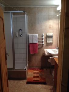 a bathroom with a shower and a sink at Ferienhaus Zirmheim in Pertisau