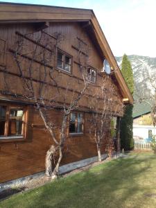 ein Holzhaus mit einem Baum davor in der Unterkunft Ferienhaus Zirmheim in Pertisau