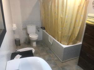 a bathroom with a toilet and a shower curtain at Roch Hotel in Altrón