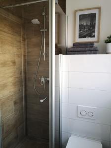 a bathroom with a shower with a toilet and a sink at LouVi in Kehl am Rhein