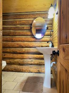 een badkamer met een wastafel en een spiegel aan een houten muur bij Alaska Creekside Cabins in Seward in Seward