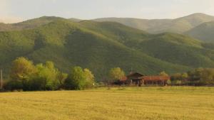 Príroda v okolí of the bed and breakfast