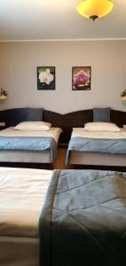 Łóżko lub łóżka w pokoju w obiekcie Pokoje De Luxe Figaro