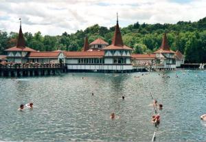 a group of people swimming in a large lake at Castelinho Apartmanház in Gyenesdiás