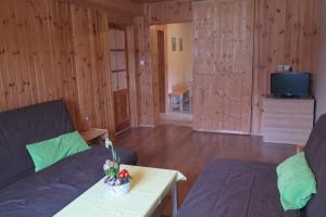TV a/nebo společenská místnost v ubytování Apartments Skiareál U Vodárny Bedřichov