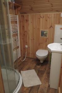 Kúpeľňa v ubytovaní Apartments Skiareál U Vodárny Bedřichov