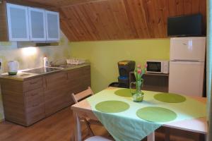 Kuchyňa alebo kuchynka v ubytovaní Apartments Skiareál U Vodárny Bedřichov