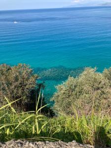 Ảnh trong thư viện ảnh của La Casa di Lulu' ở Palinuro