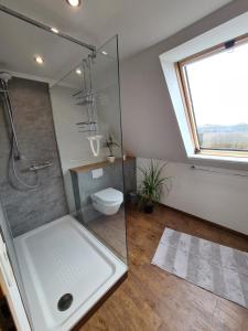 La salle de bains est pourvue d'une douche, de toilettes et d'une fenêtre. dans l'établissement Ferienwohnung mit wunderschönem Blick auf den Nord-Ostsee-Kanal, à Breiholz