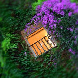 Zahrada ubytování Bio Hotel Raphael - Relais & Châteaux