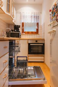 A kitchen or kitchenette at Apartments Lake Bohinj Medja