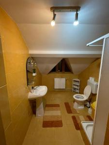 a bathroom with a sink and a toilet at Freemont in Braşov