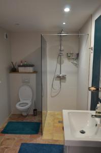 a bathroom with a toilet and a sink at LA VIGNERAIE in Albiac +8 photos