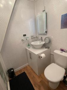 a bathroom with a white toilet and a sink at Olivia House in Porthcawl