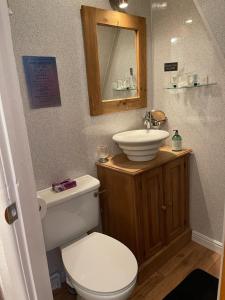 a bathroom with a white toilet and a sink at Olivia House in Porthcawl