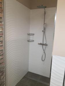 een douche met een douchekop in de badkamer bij Die Remise Kolibri RE-05 in Stolpe