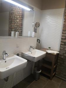een badkamer met 2 wastafels en een spiegel bij Die Remise Kolibri RE-05 in Stolpe