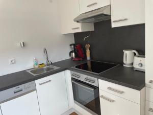 Eldhús eða eldhúskrókur á Skyloft Apartment Feldkirch