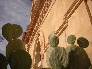 un grupo de cactus frente a un edificio en La Moresca Maison De Charme, en Marina di Ragusa