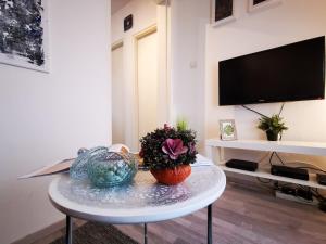 TV a/nebo společenská místnost v ubytování Apartment Herc