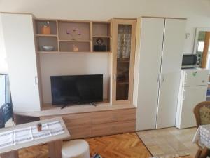 Televízia a/alebo spoločenská miestnosť v ubytovaní Studio apartment in Vir (4776-3)