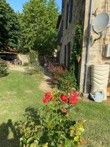 Zahrada ubytování Chambres et table d'hôtes Le cèdre Aveyron