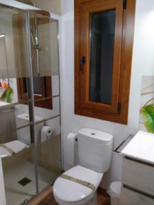 Koupelna v ubytování Apartamentos La Glera Biescas + 20 fotografií