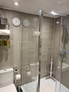 ein Bad mit einer Dusche und einem WC in der Unterkunft No 3 king street apartment and snug in Seahouses