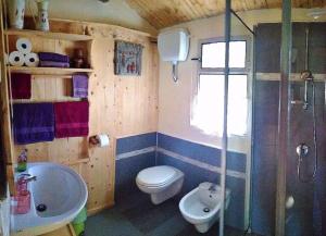 een badkamer met een toilet, een wastafel en een douche bij Stazzu la Capretta Farm Camping & Guest Rooms in Olbia