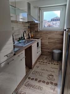 eine kleine Küche mit einem Waschbecken und einem Fenster in der Unterkunft Apartment Tony in Interlaken